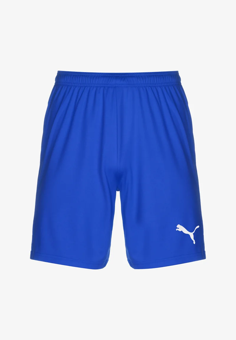 Puma M Teamgoal Shorts